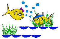 JFish01 Hide Fish