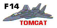 F14 Tomcat with text